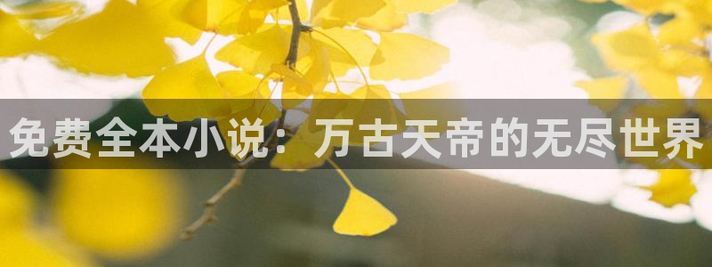 免费全本小说：万古天帝的无尽世界